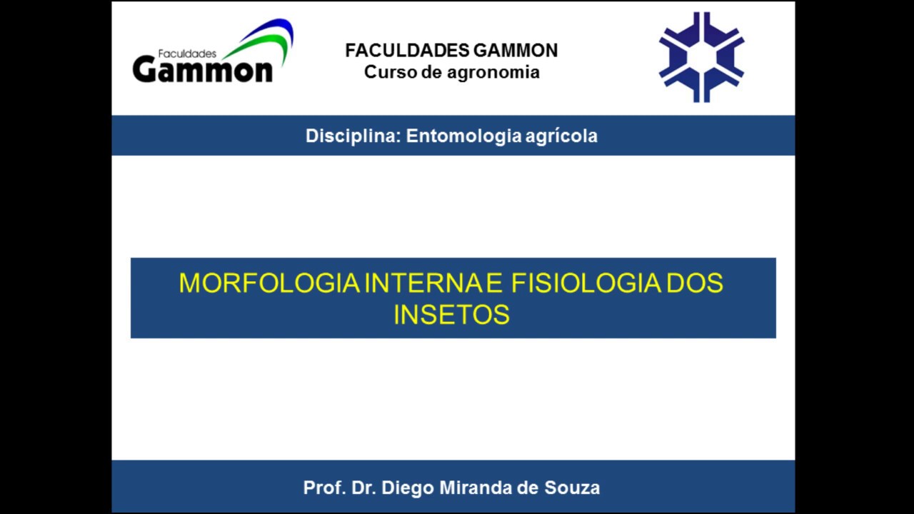 Morfologia interna dos insetos _ Parte 1