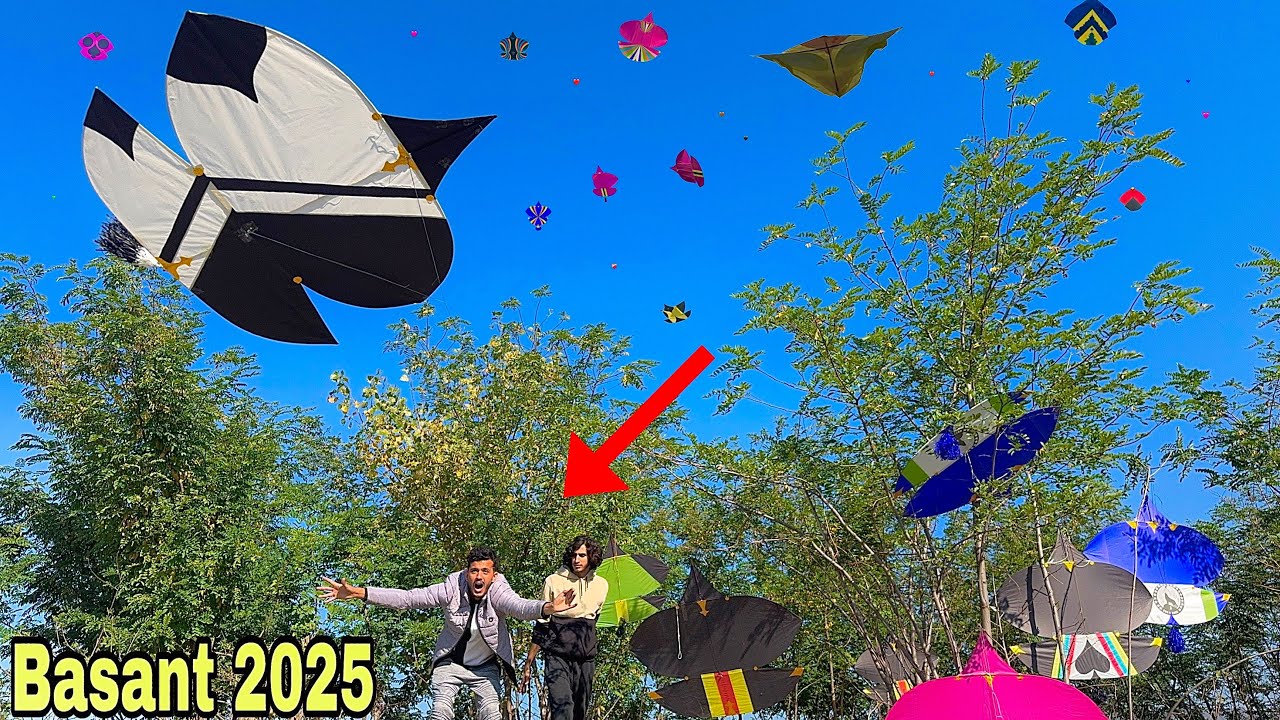 30* Tukely  Loot li 😱😍 ! Kite Catching in Jungle 🌲  Basant 2025