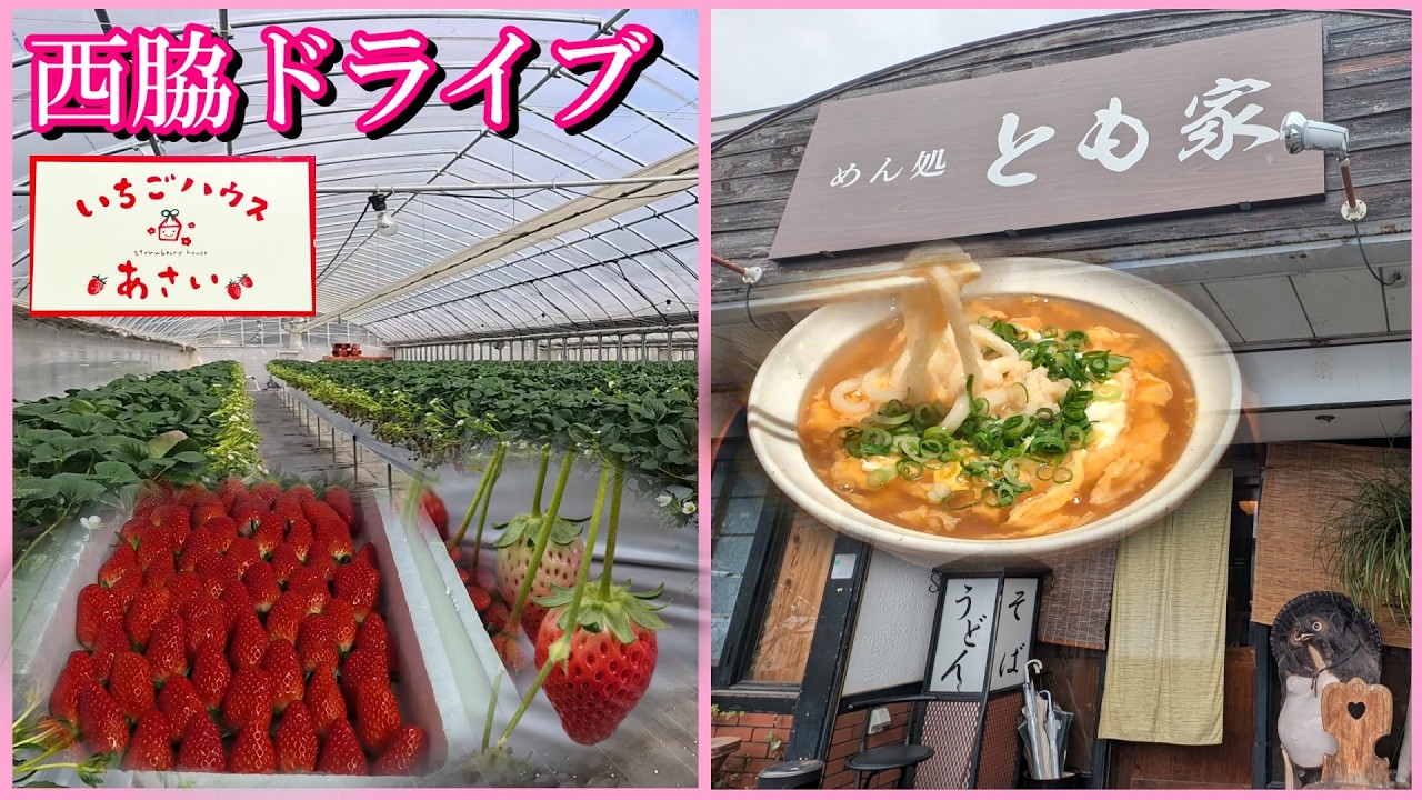 菓子店が取り寄せする苺の直売所  あんかけ＆鍋焼きうどん  体に優しいカフェ 冬限定のせんべい  福袋金券で爆買いクワムラハム直売所