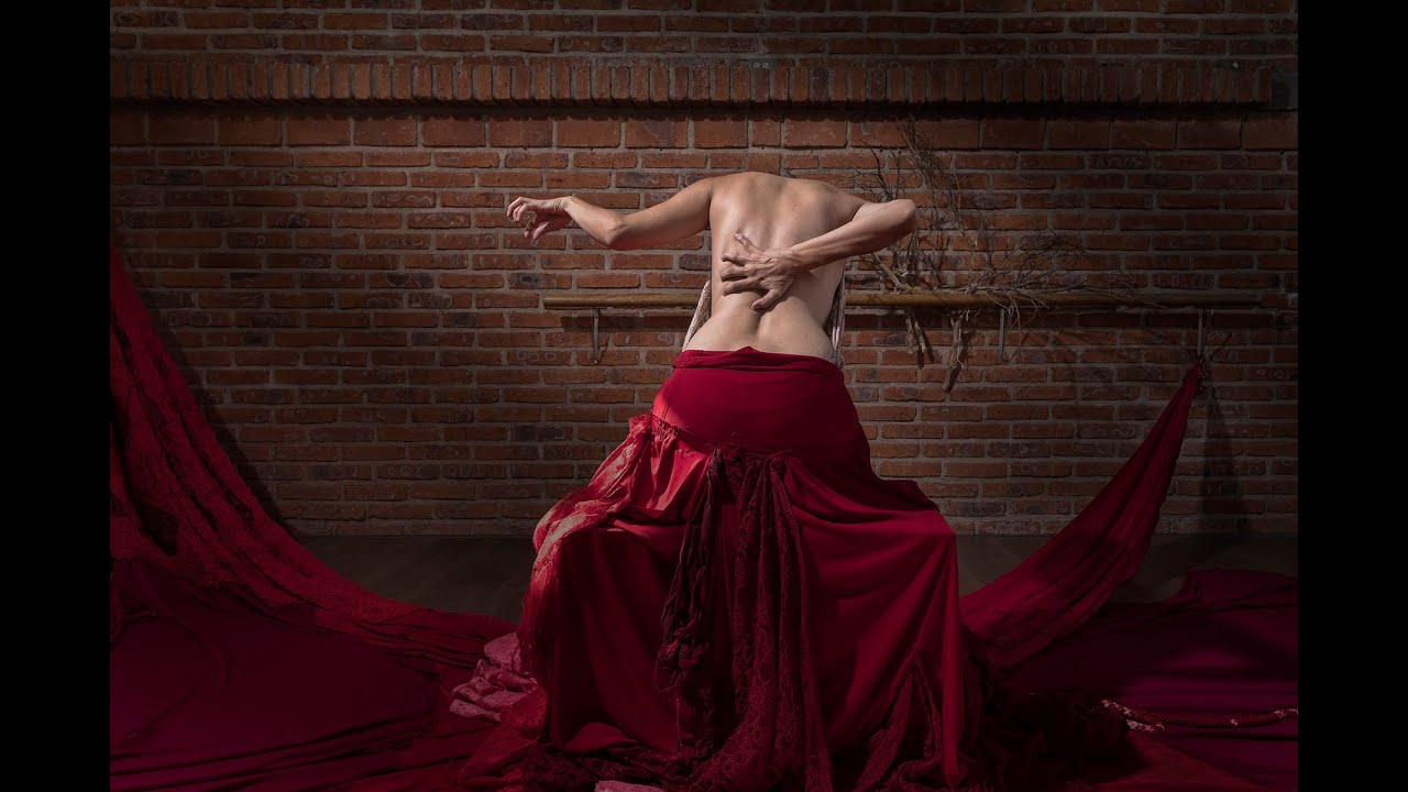 Video Xolo/Árbol de luna