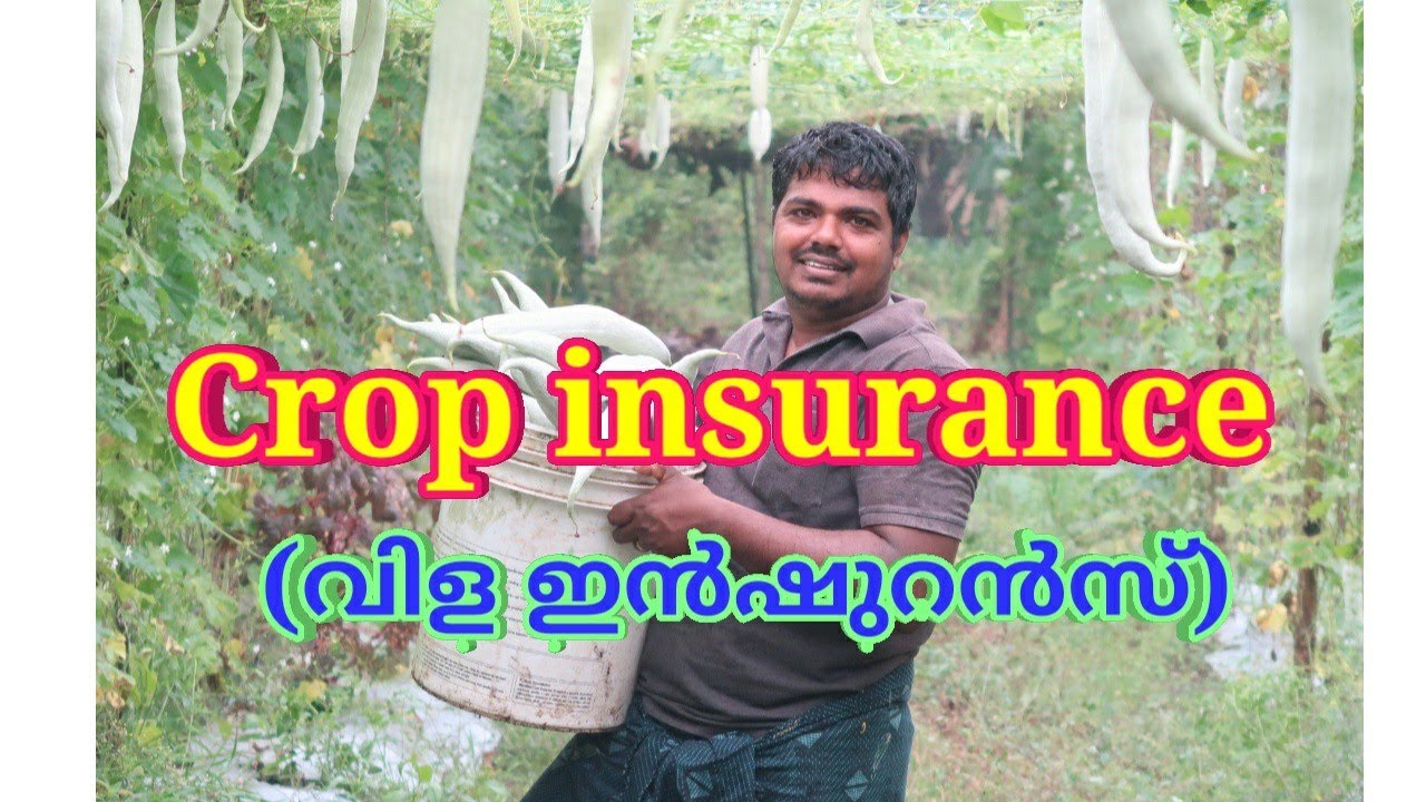 Crop insurance  ( വിള ഇൻഷുറൻസ് )