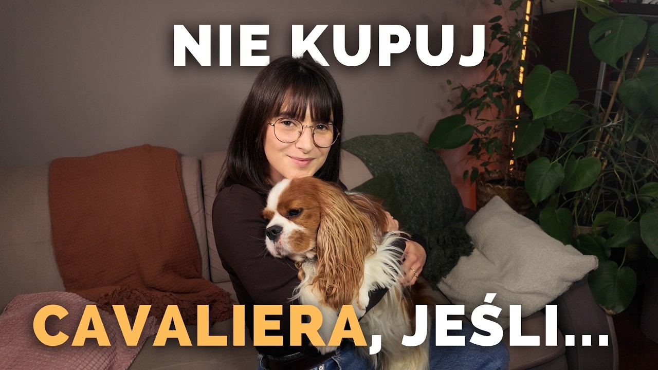 NIE KUPUJ CAVALIERA, JEŚLI… | dla kogo ta rasa NIE jest ❌🐶