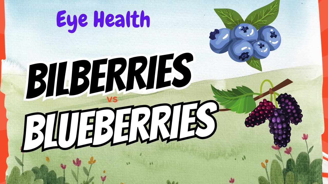 Bilberries & Blueberries for Eye Health: Myth or Miracle?