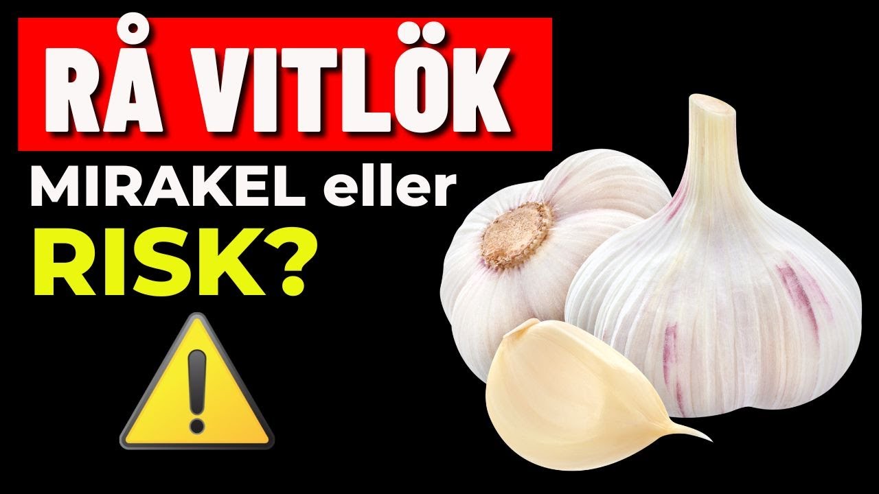 RÅ VITLÖK: Därför pratar LÄKARE om den igen (och hur du ska använda den rätt)