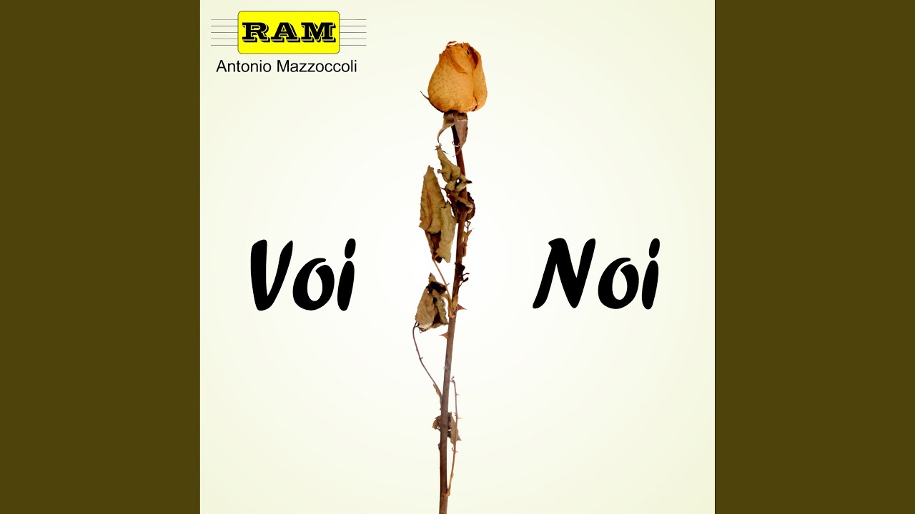 Voi - Noi