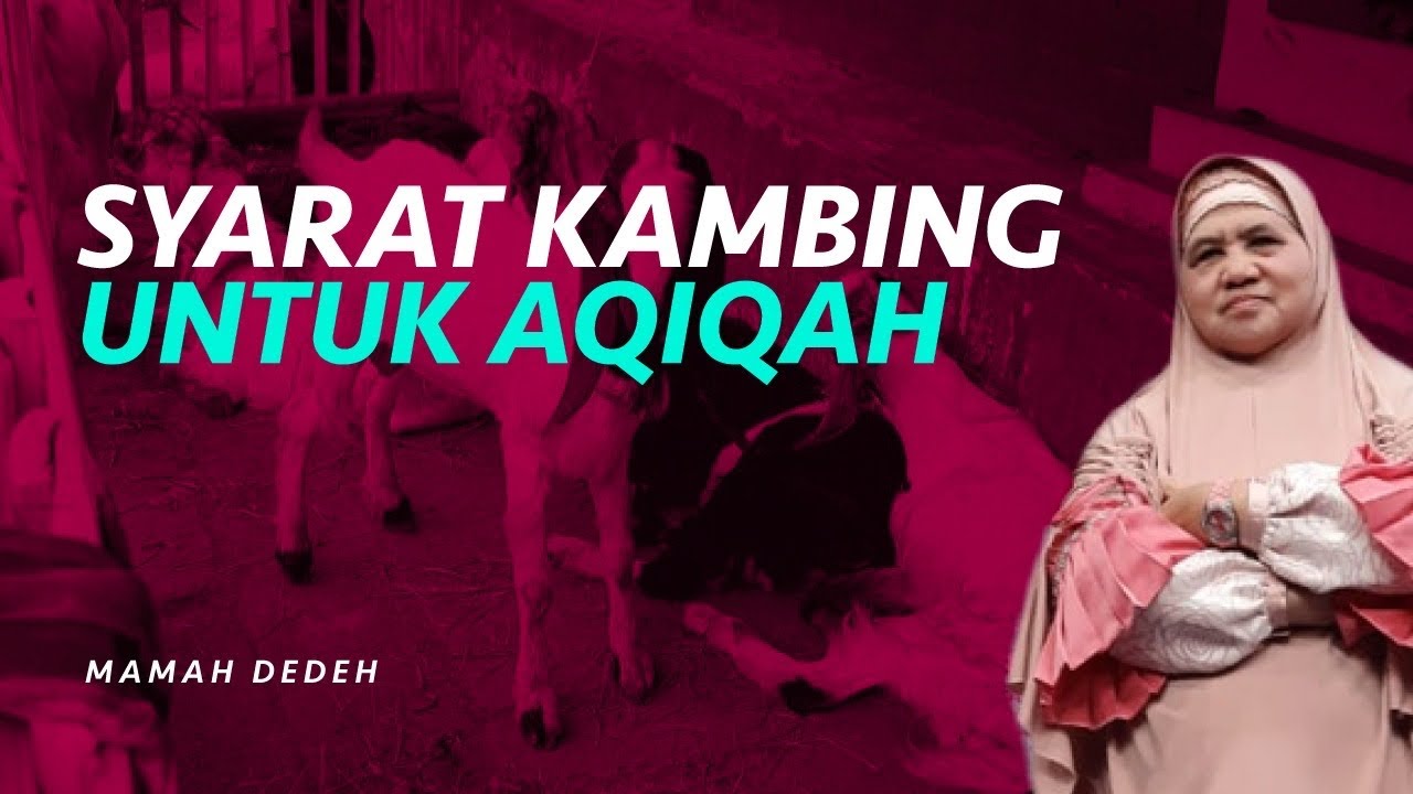 Syarat Kambing untuk Aqiqah yang Harus Dipenuhi | Rumah Mamah Dedeh
