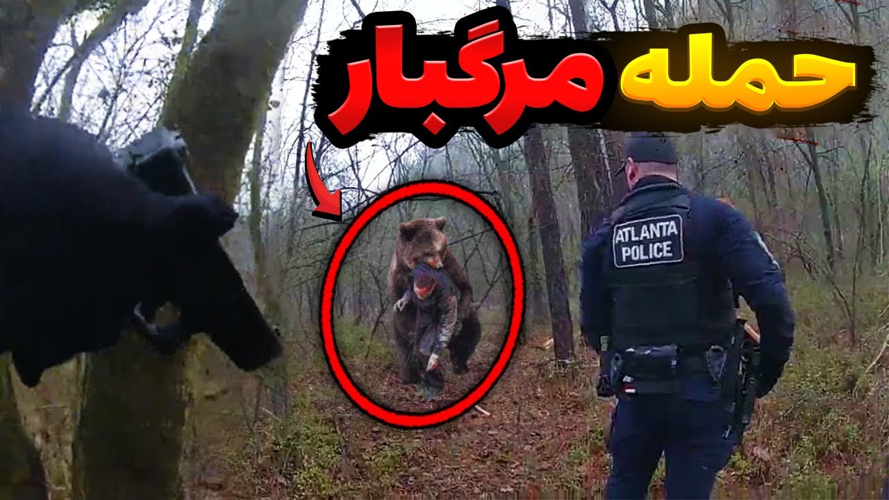 حمله واقعی تمساح به دزد تحت تعقیب پلیس! صحنه‌ای که همه رو شوکه کرد!