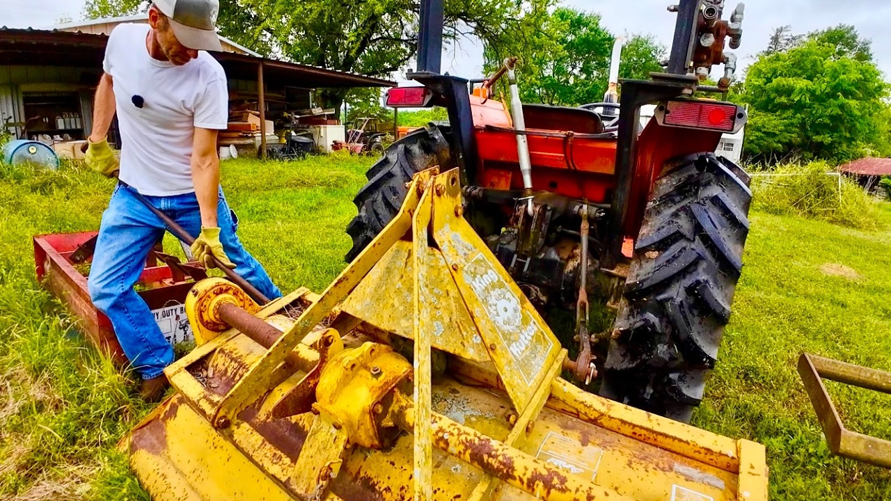 Fixing Wild Pig Damage on My Blueberry Farm