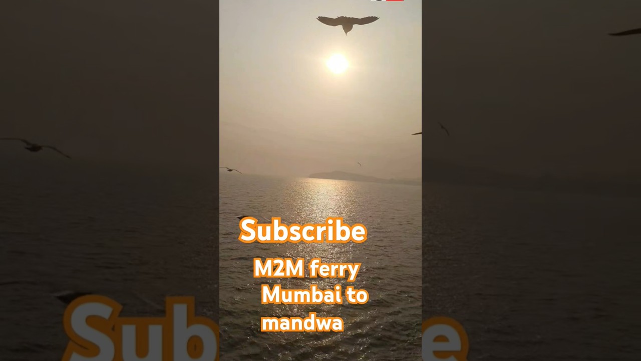 World's First M2M Ferry - Everything You Need To Know