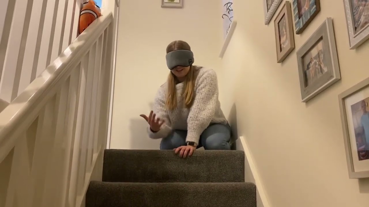 Training A Blind Dog To Use The Stairs