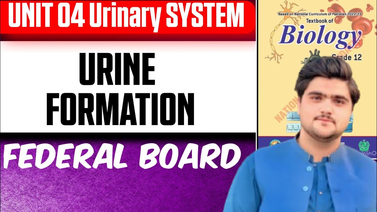 Urine Formation | Unit 4 Urinary System | Class 12 Biology | Federal Board