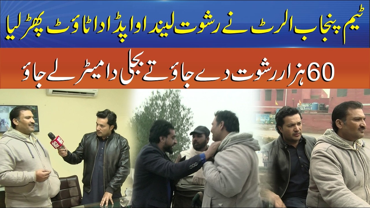 Punjab Team Alert Arrests WAPDA Agent Taking Bribe for Electricity Meter | Punjab Alert | Sun News