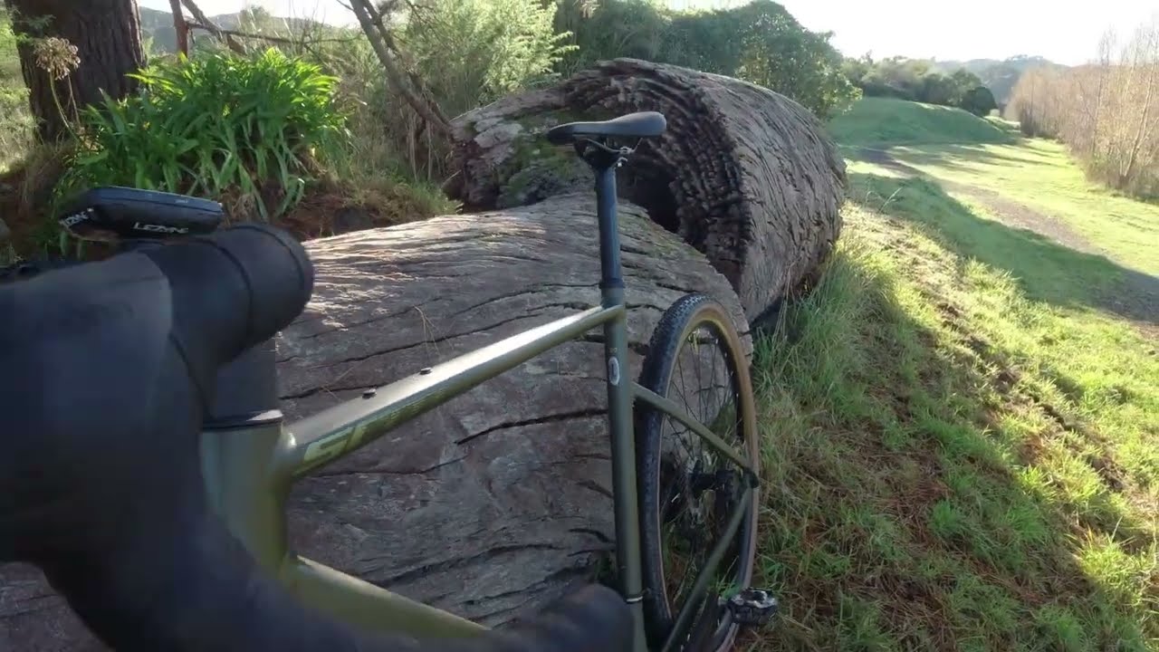 The SCOTT Speedster 20