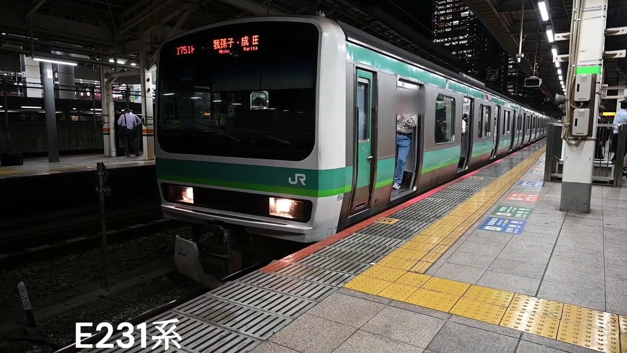 JR東京駅　E231系・E257系・E657系