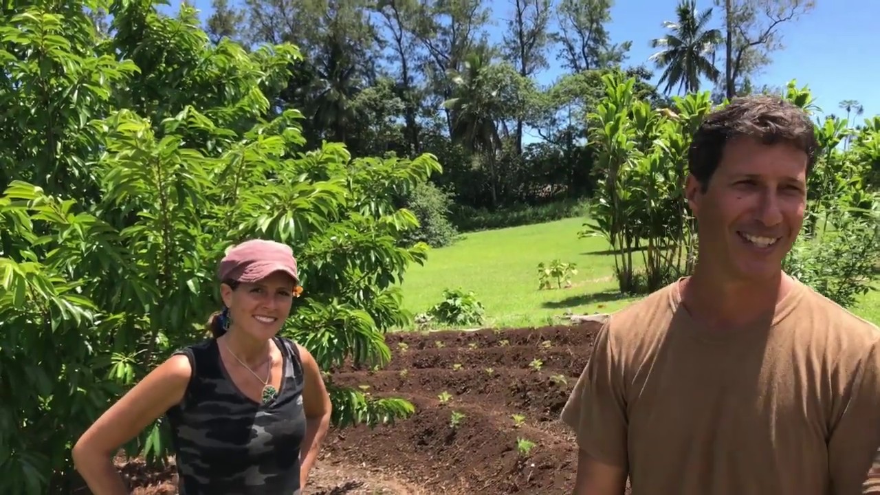 Tour of the Kauai Farmacy Organic Gardens with over 70 different medicinal plants