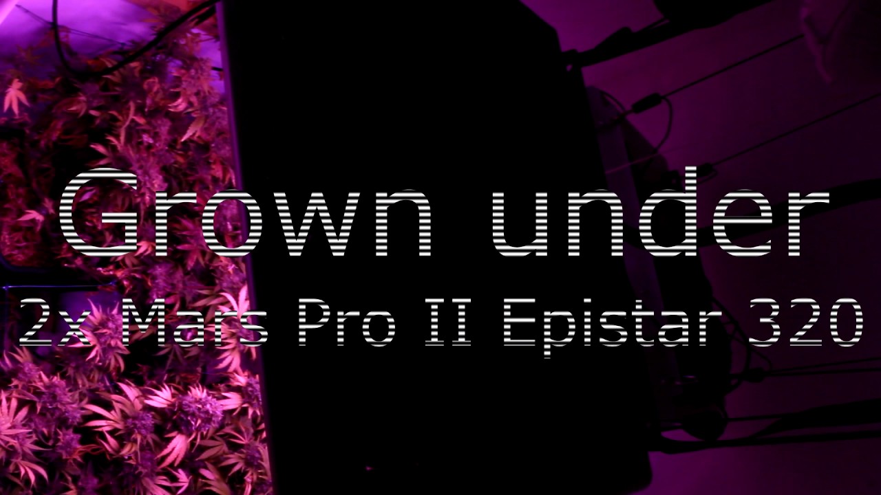 Mars-hydro Mars Pro II Epistar320 growing