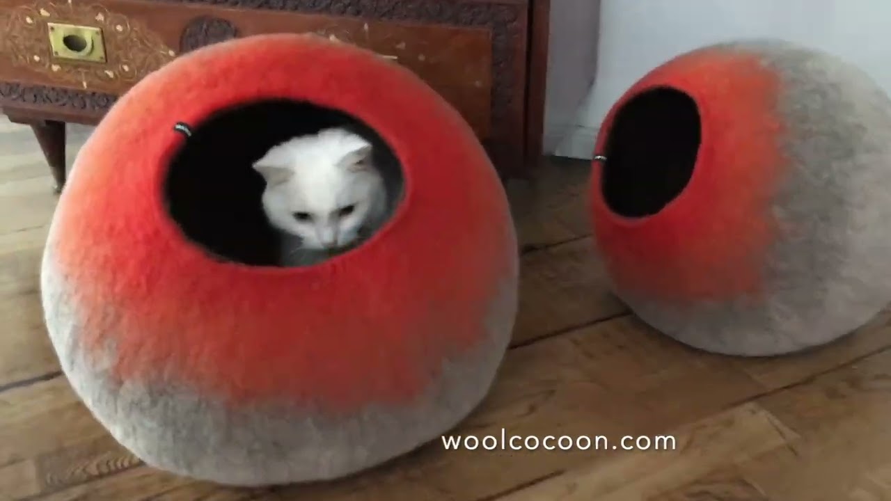 From Felting to Cat Cave in Just 25 Seconds! How Wool Transforms into a Cozy Cocoon!