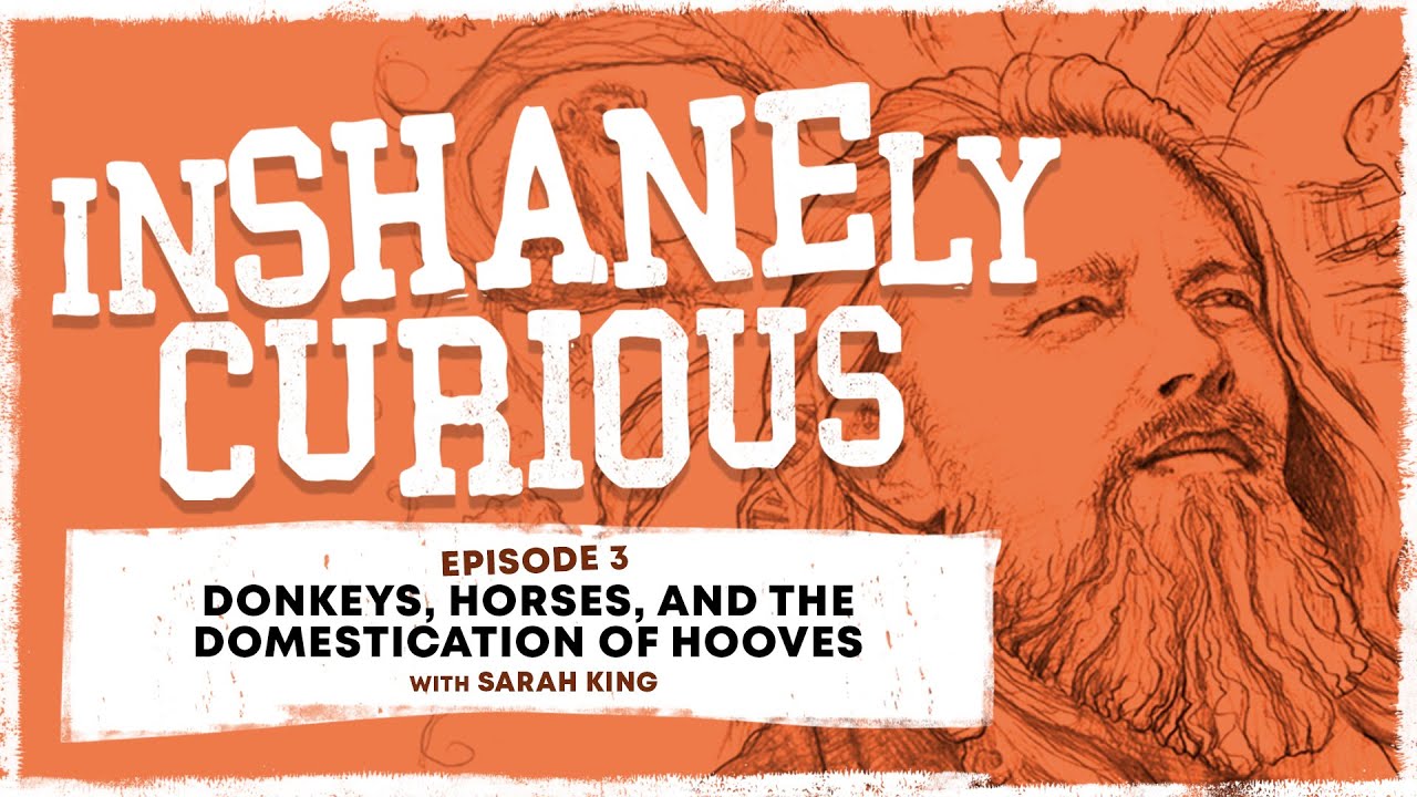 Donkeys, Horses, And The Domestication Of Hooves With Sarah King | InShanely Curious Ep 3