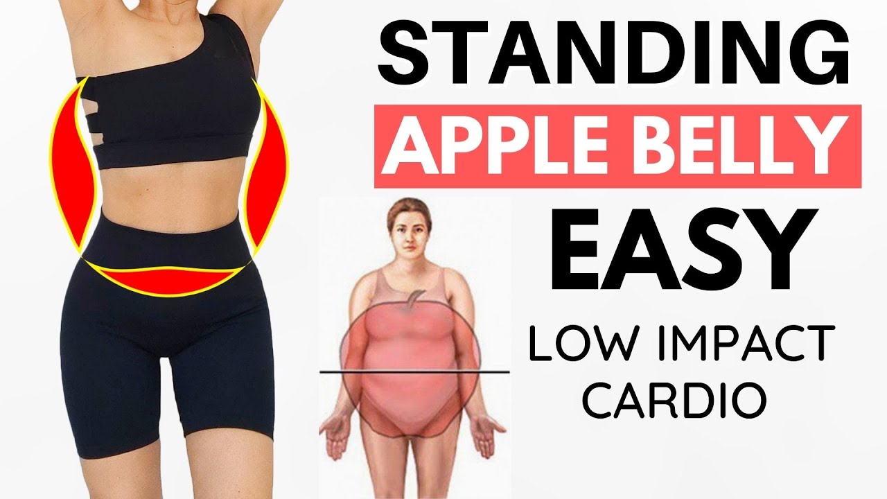 LOSE APPLE BELLY FAT with EASY STANDING ABS, no jumping, knee friendly PART 2 | Hana Milly