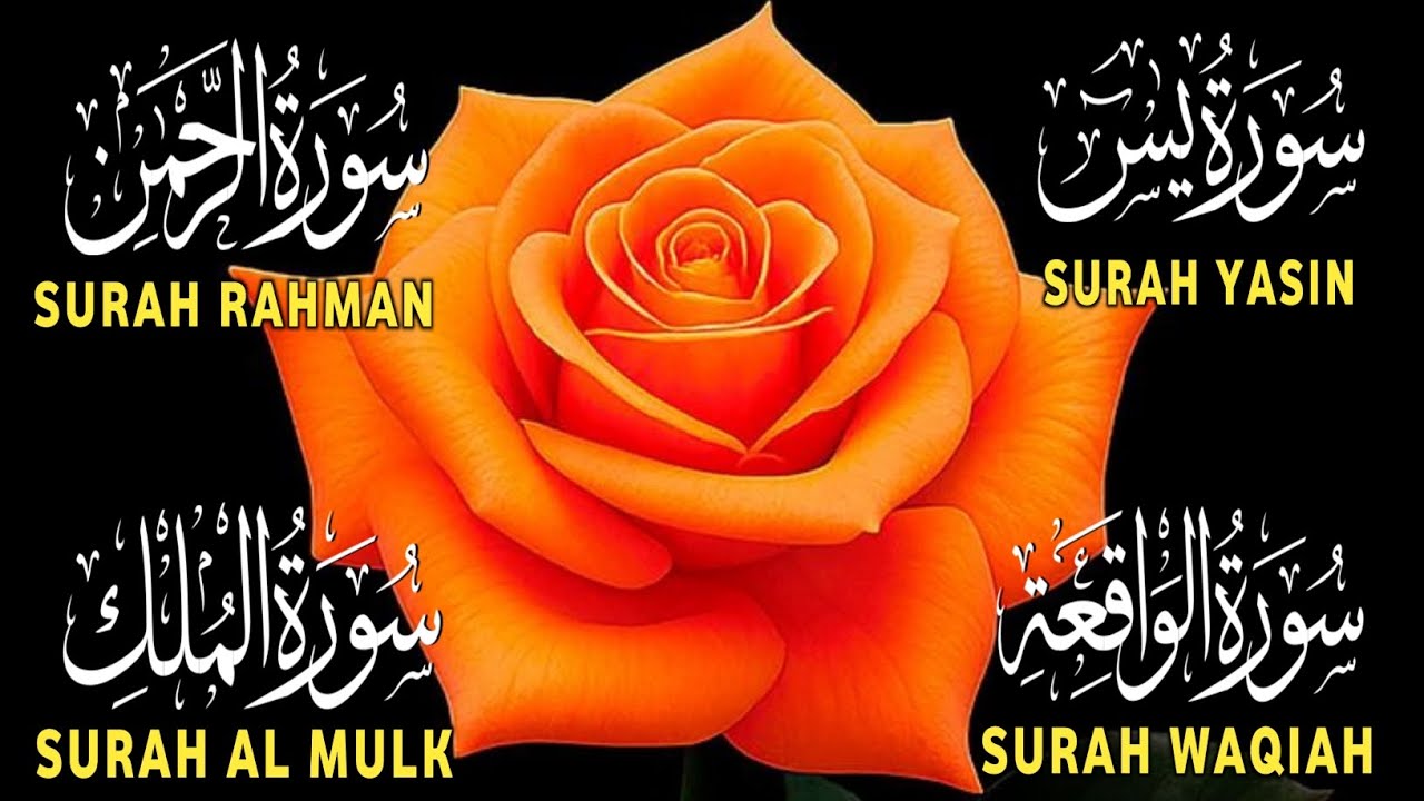 Surah Yaseen ❤ Surah Rahman ❤ Surah Al Waqia ❤ Surah Al mulk Soothing Quran recitation | Ep000417