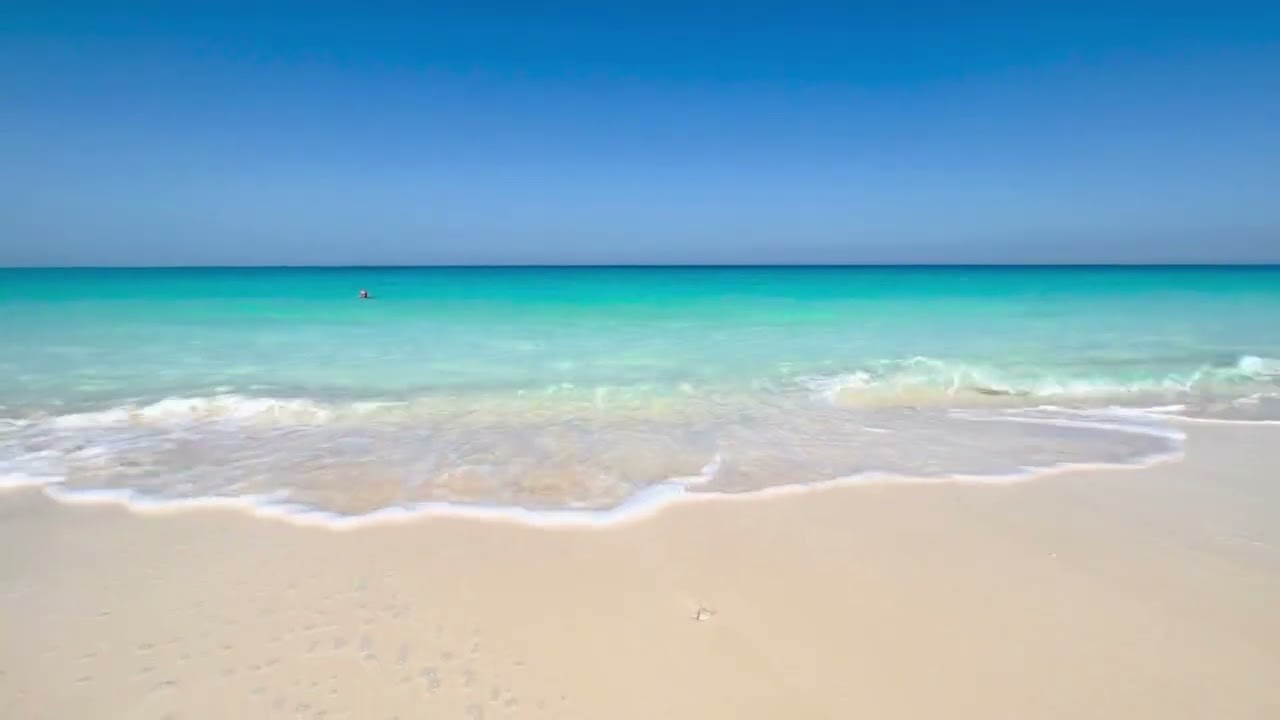 Pov: you're on a tropical island 🌴🐚🍍🥥 ˘͈ᵕ˘͈  Relaxing Ocean Sounds to help you chill ⋆.˚✮🎧✮˚.⋆