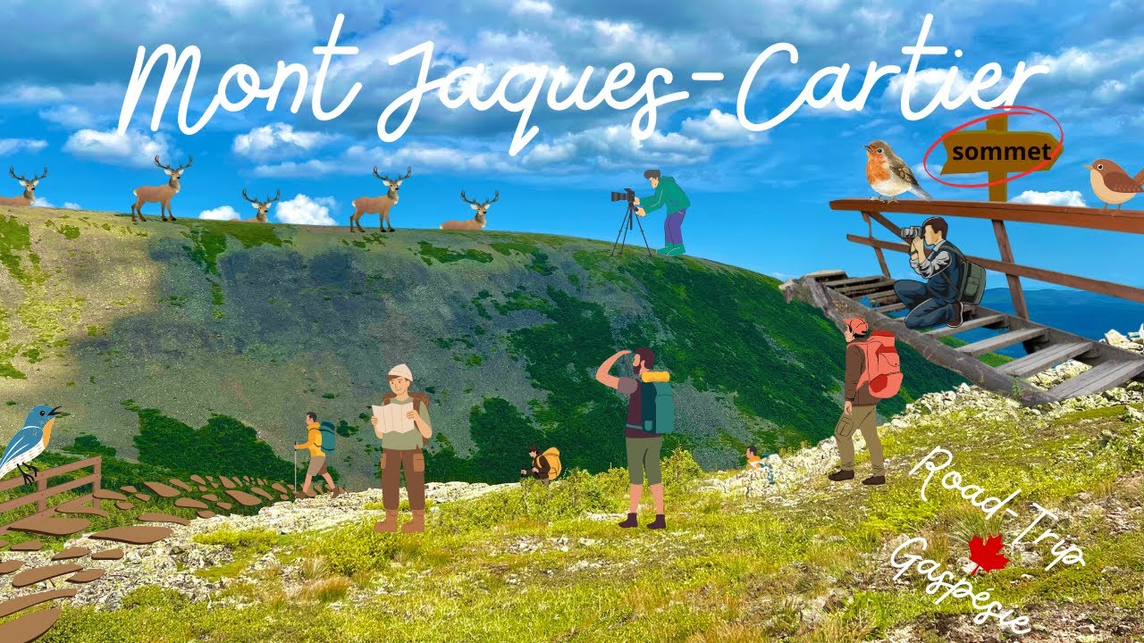 Road-Trip Gaspésie épisode 3 : une vue incroyable sur la Gaspésie!!