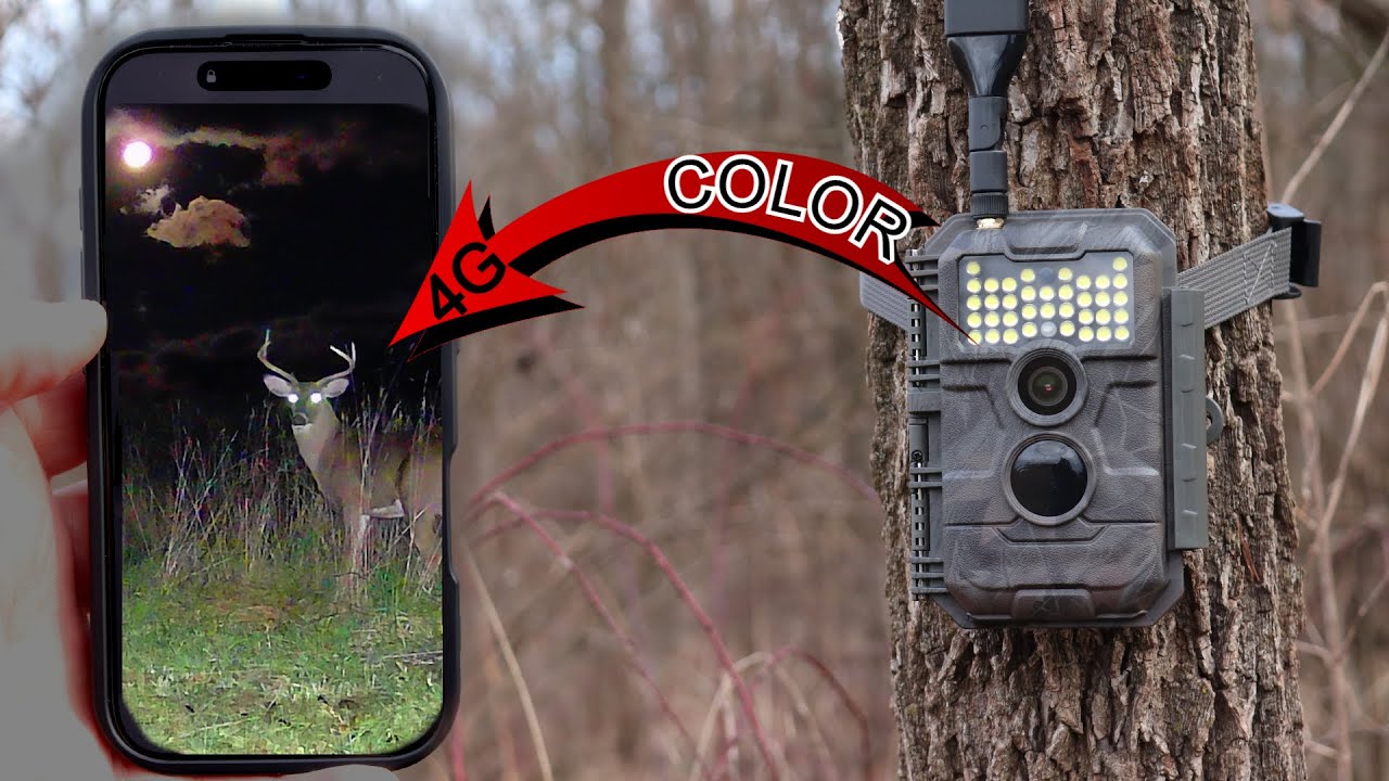 Can Your Cell Cam Do This? GardePro X20WF White Flash LED 4G Trail Camera Field Test Review