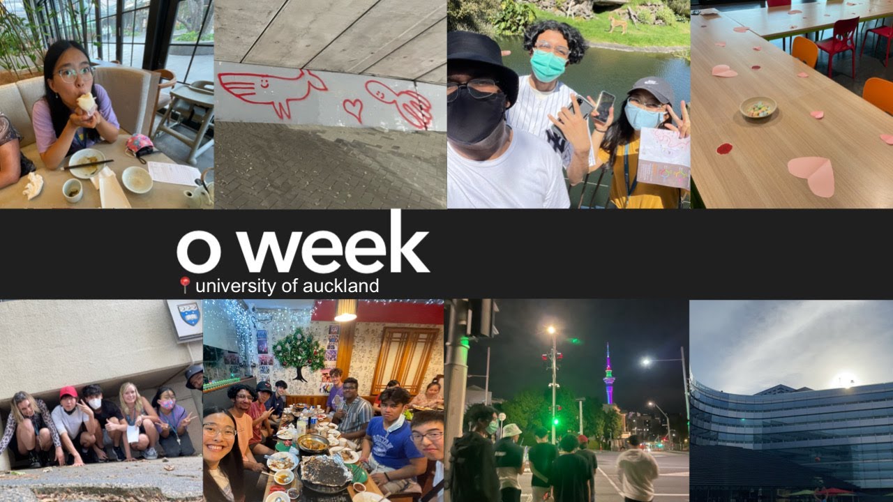 o week at the university of auckland | akl diaries