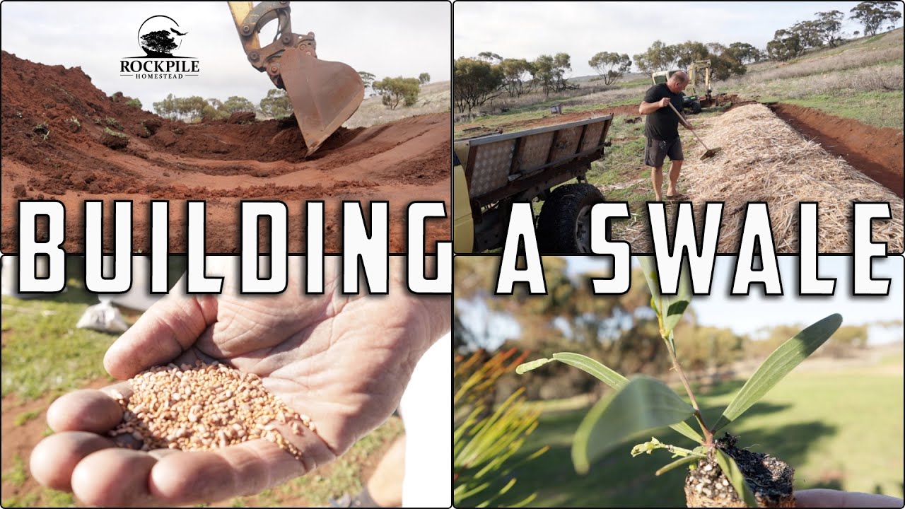 FULL permaculture SWALE build in 10 MINUTES | Off grid homestead
