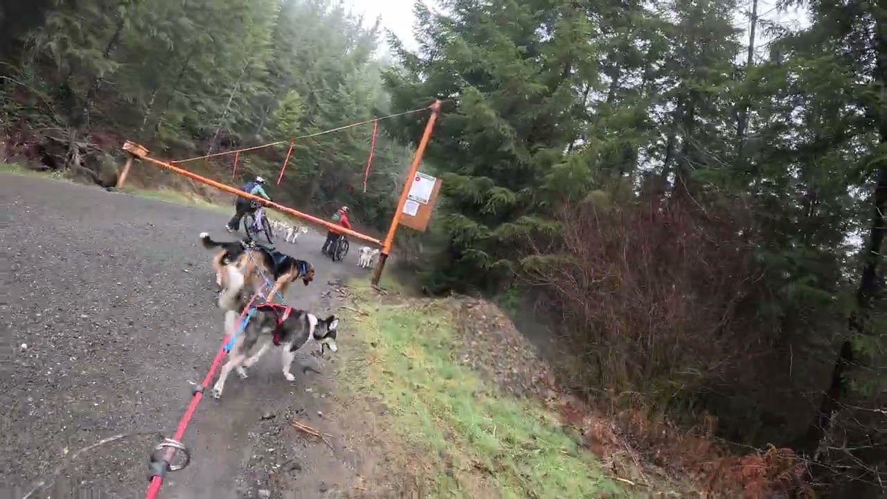 Jake and Luka don't like to be passed- cheaters!