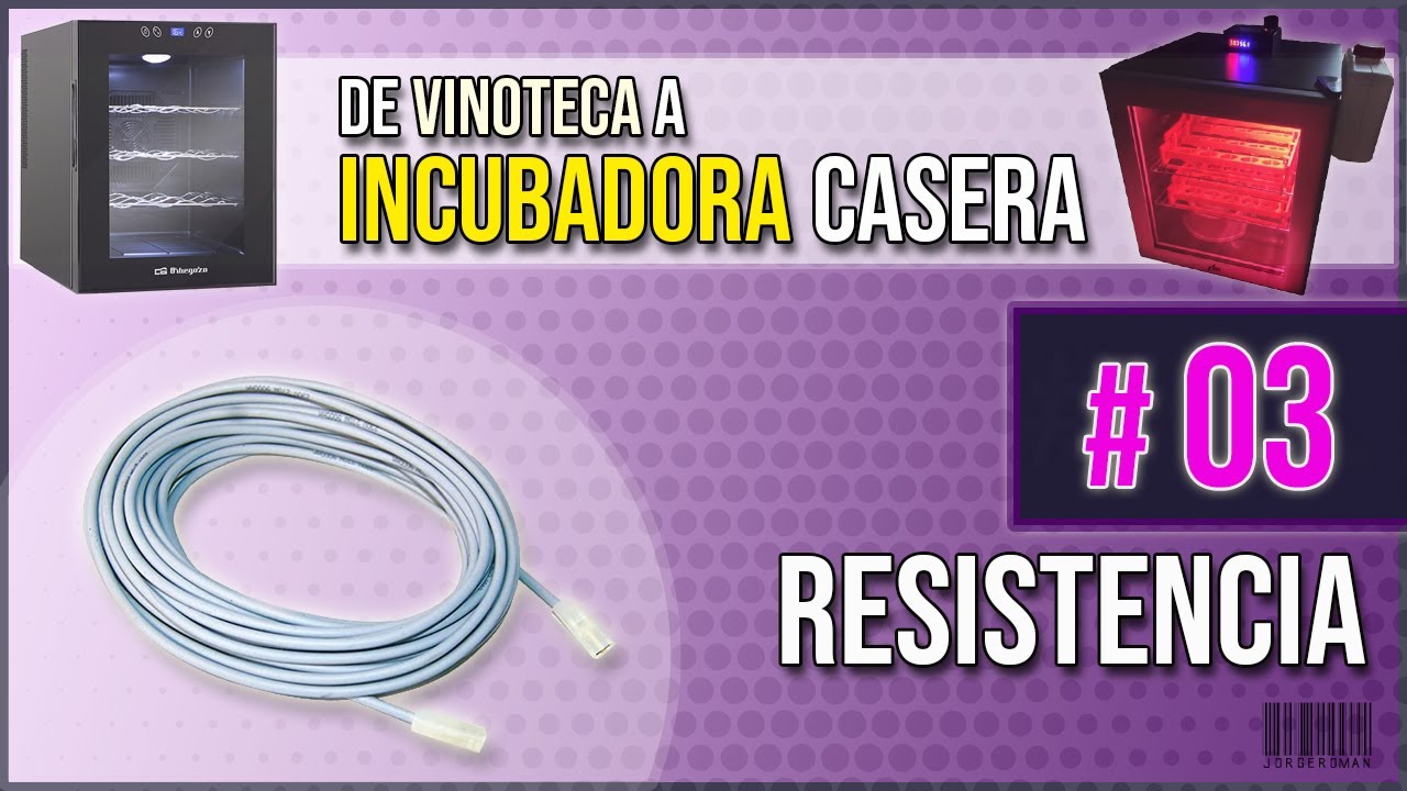 INCUBADORA CASERA 🐣 en VINOTECA 3/11 |  Resistencia de Calor