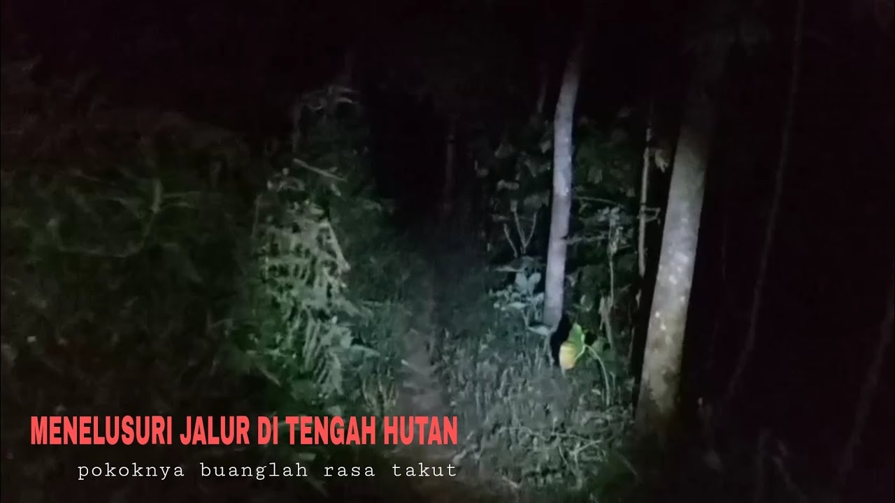 UJI NYALI// JALAN KAKI DI MALAM HARI// DI TENGAH HUTAN. YANG SANGAT MENYERAMKAN// SUKRON CHANNEL