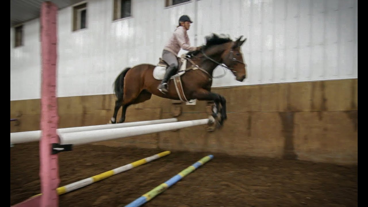 Horse Riding - Show Jumping Girl - Glidecam HD 2000
