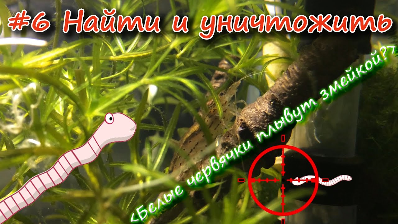 #6 Борьба с незваными гостями,продолжение... /Fighting uninvited guests, continued ...