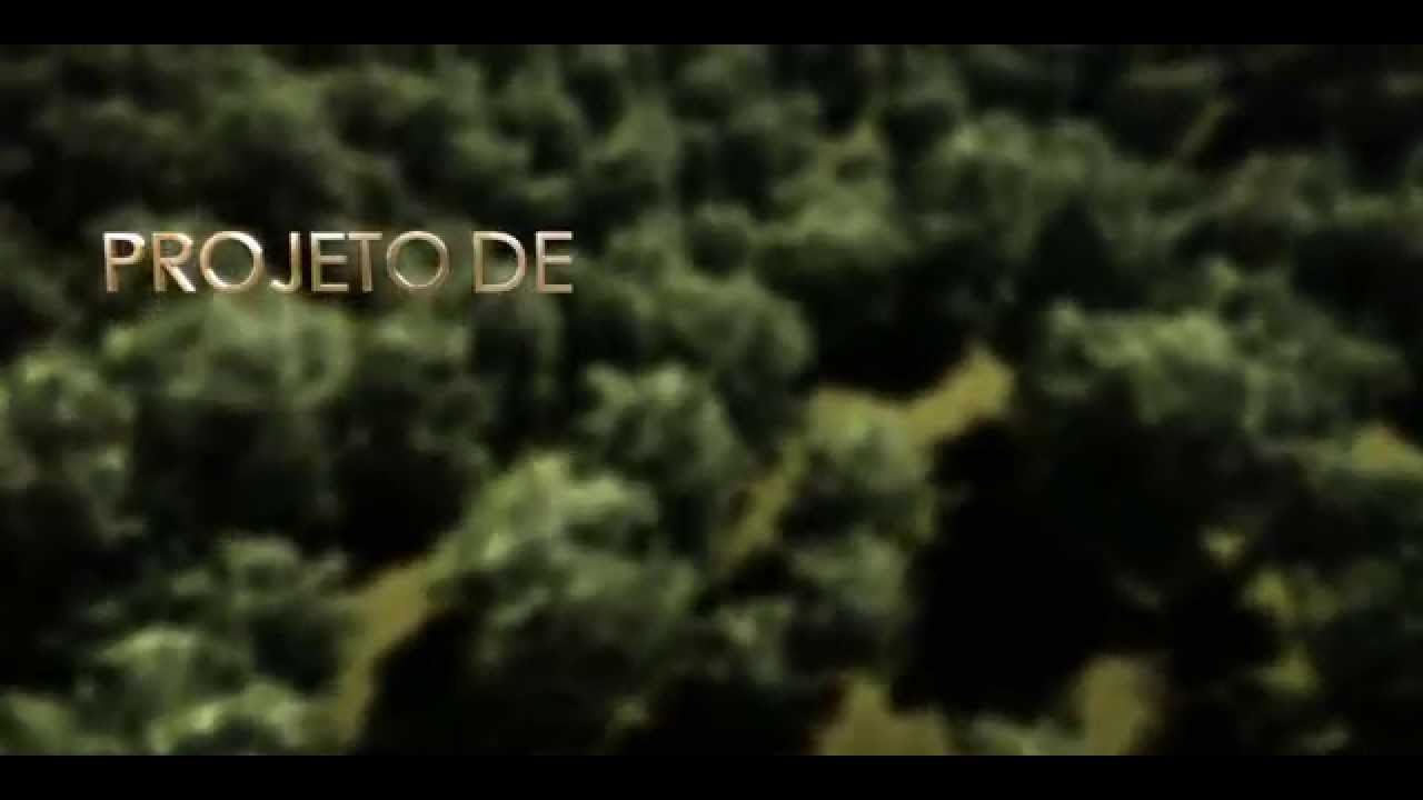 V&iacute;deo Institucional Green Gold International