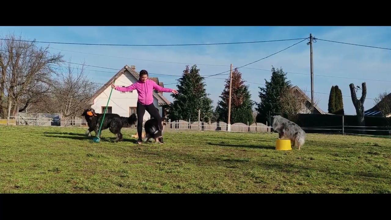 Ajánló - Hagyárosi Kutyakomédia