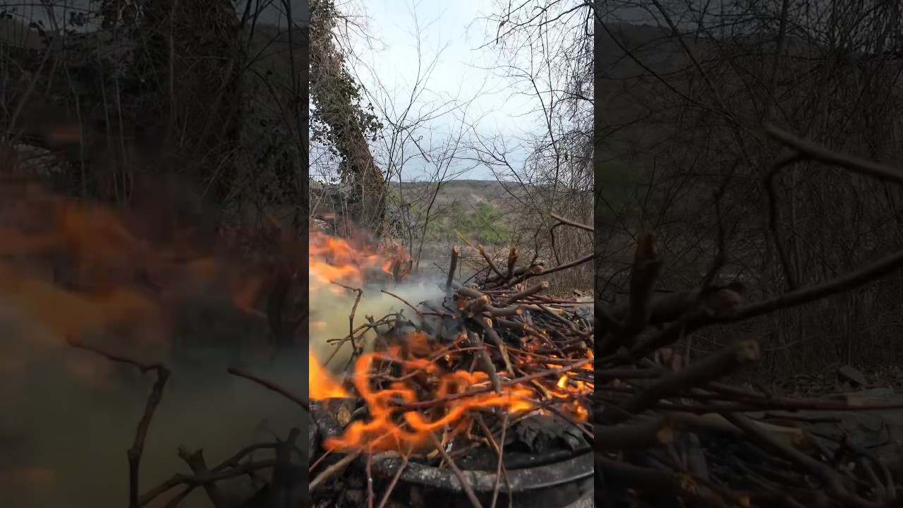 #flame #fire #fireplacesounds #naturesoundscape #campfire #campfireserenity #campfiresound