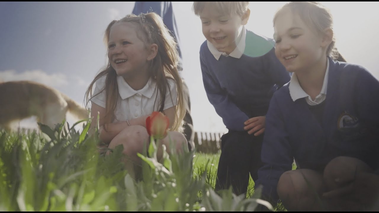 Crossflatts Primary School | Web Banner Film