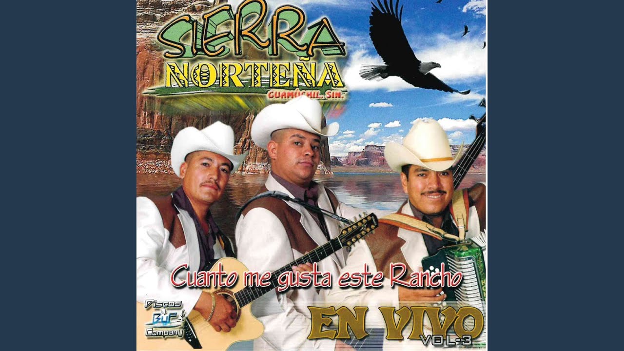 Corridos Pesados (En Vivo)