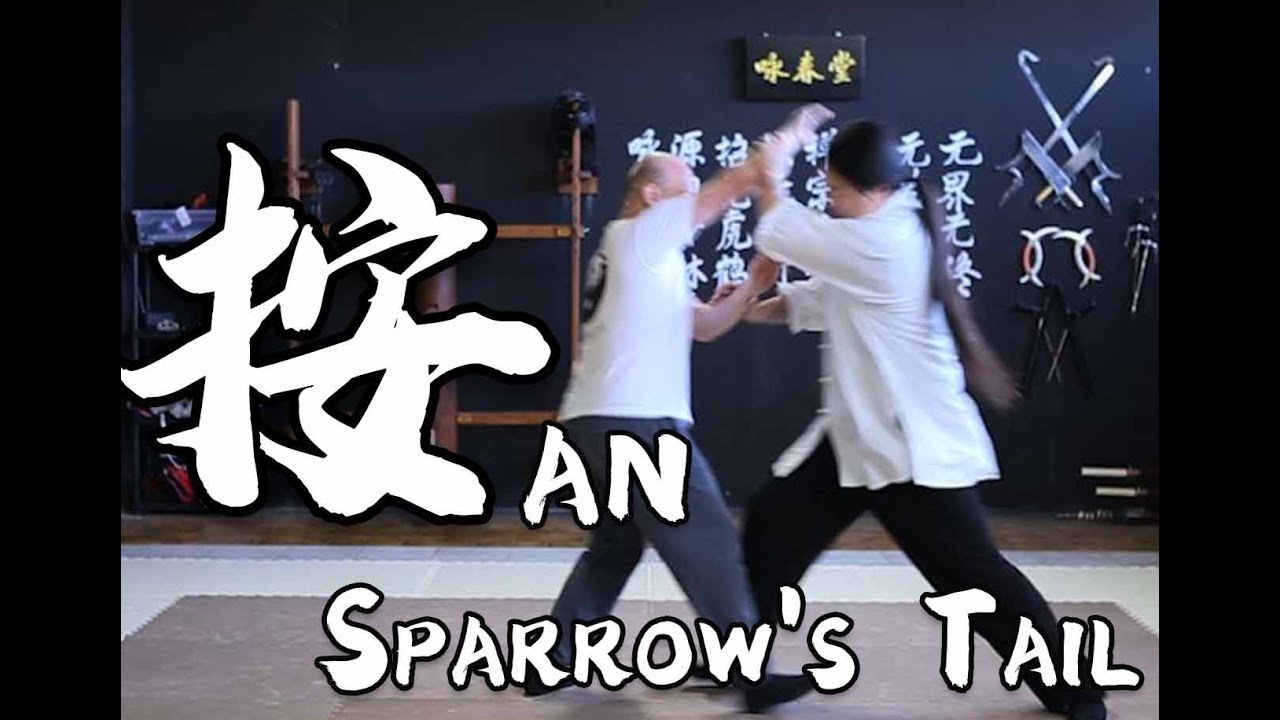 Tai Chi 24 Section Application Exercise - Section 7 & 8 : Grasp Sparrow's Tail 揽雀尾 - 按 - An