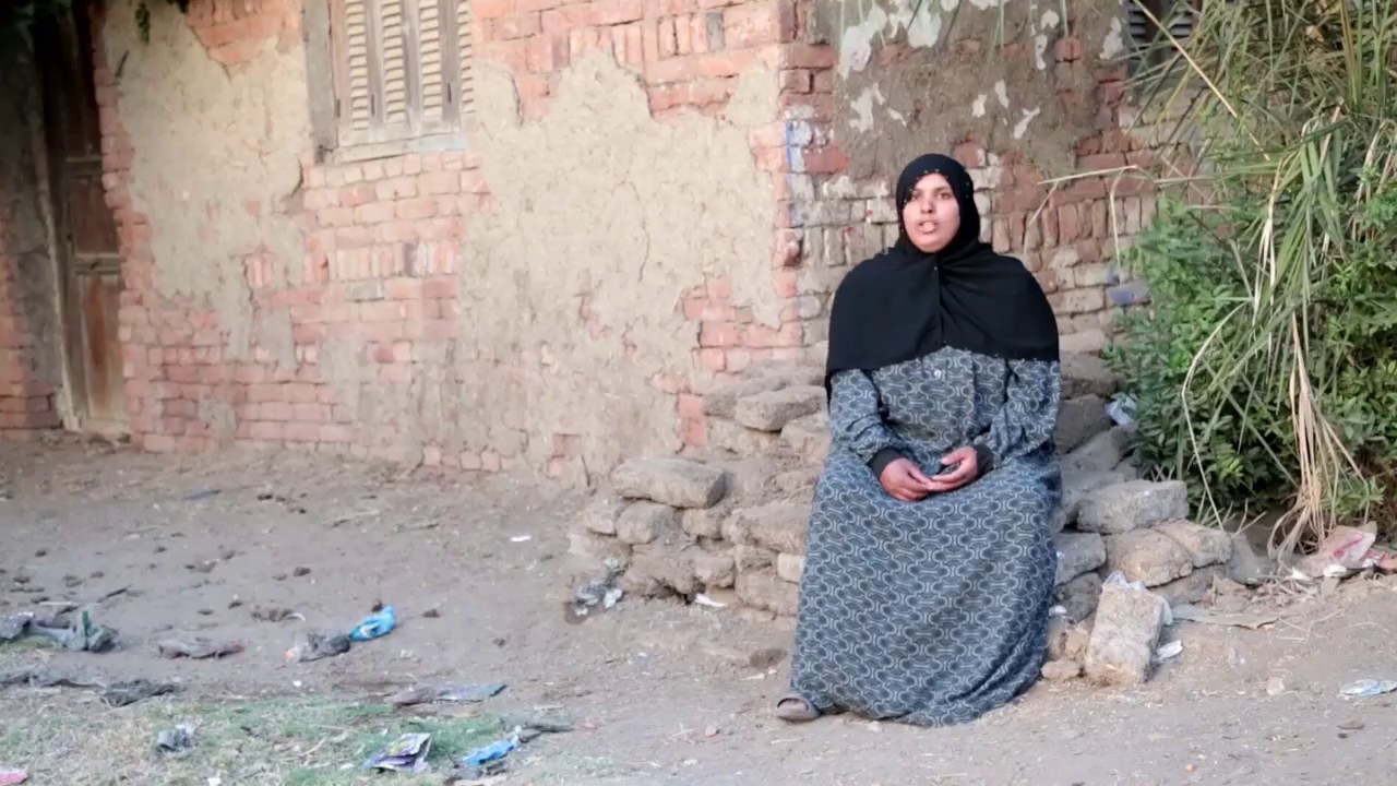 قرية الشبراوين