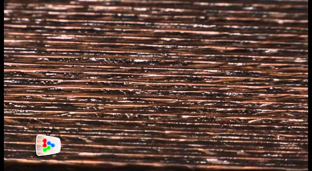 Wood from palms
