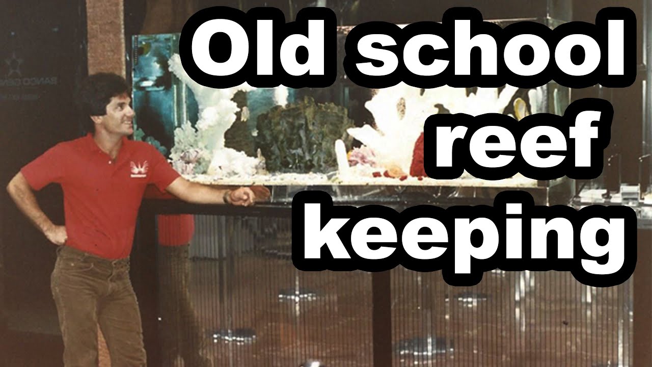 Six Classic Aquarium Techniques | Only OLD SCHOOL Reef Keepers Remember