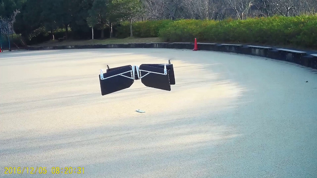 Parrot Swing Flight ～ Crash