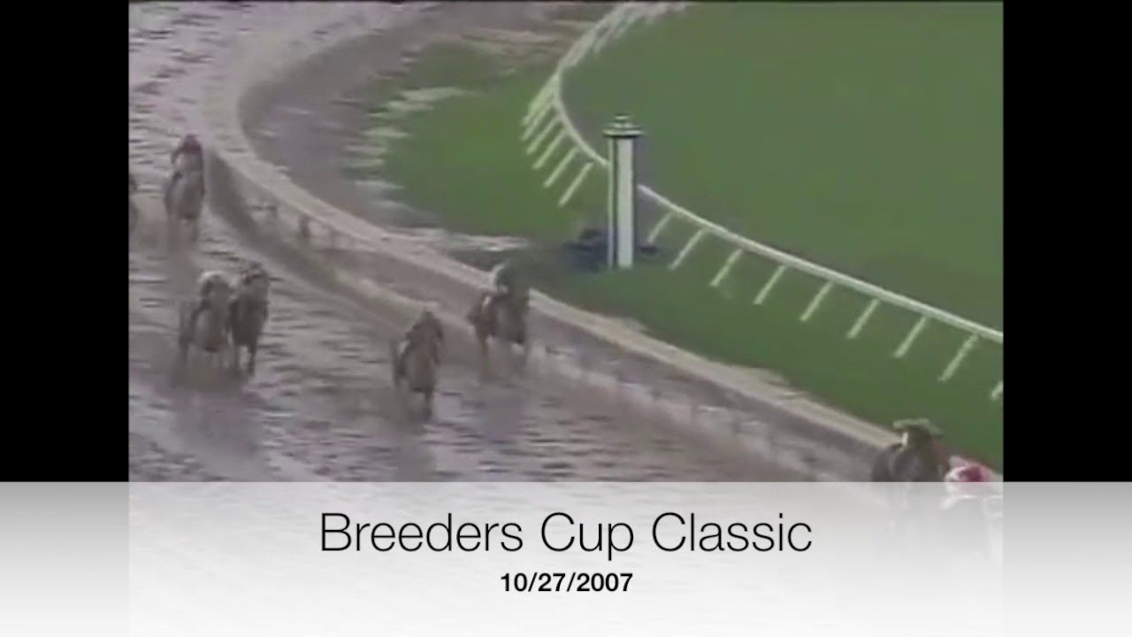 Curlin Compilation of Wins