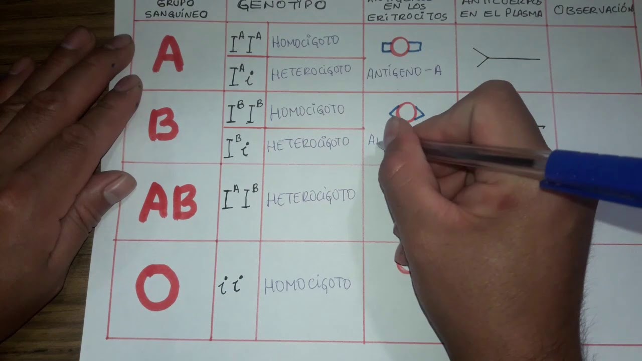 HERENCIA SANGUÍNEA + 6 EJERCICIOS