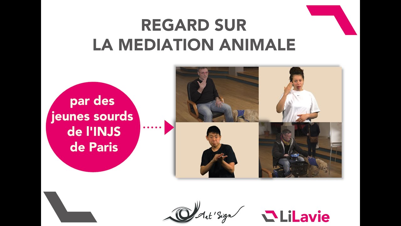 Regard sur la médiation animale par de jeunes sourds de l'INJS de Paris