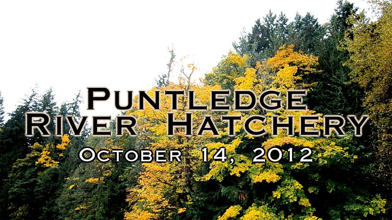 Puntledge River Hatchery