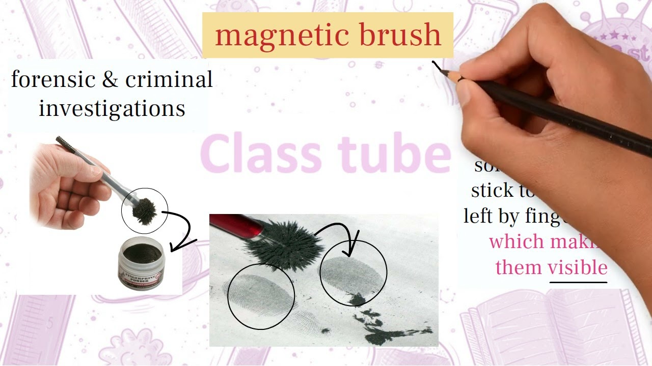 Science Prep 1 Unit 2 Lesson 2  (Magnetic Forces) ساينس أولى إعدادي شرح الوحده الثانيه الدرس الثاني