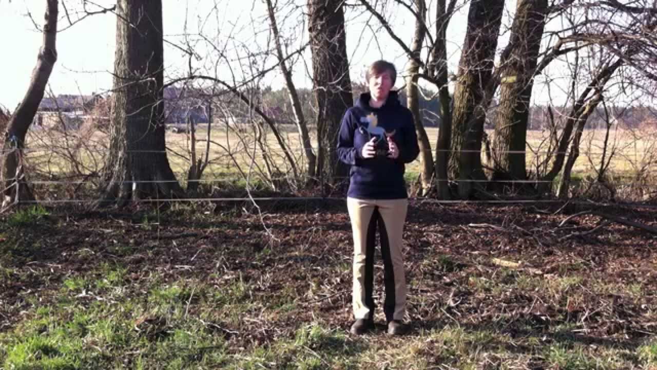 Stephanie Hornung - Reiterschwerpunkt im Galopp